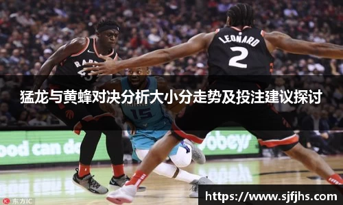 猛龙与黄蜂对决分析大小分走势及投注建议探讨
